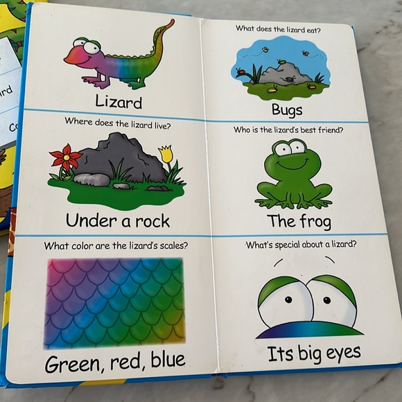 Set of 3 My Big Jungle, Farm, Alphabet Fun to Learn Baby Toddler Hardback Books - Picture 5 of 6